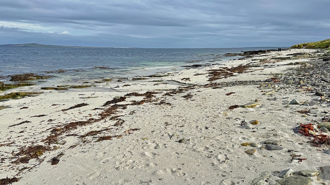 Walking along a beach in Shapinsay, Orkney