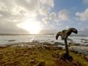 Skipi Geo whalebone in Birsay, Orkney