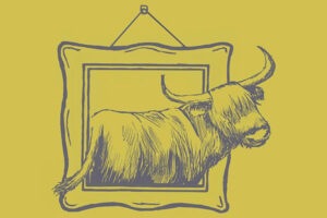 Coo’s Tail Gallery, Thurso