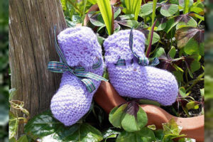 Krazy Lady Knitting, Sandwick