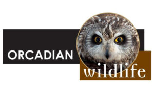 Orcadian Wildlife, Wildlife Holidays