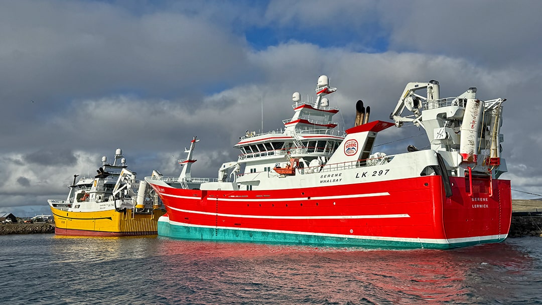 Pelagic trawlers moored in Whalsay