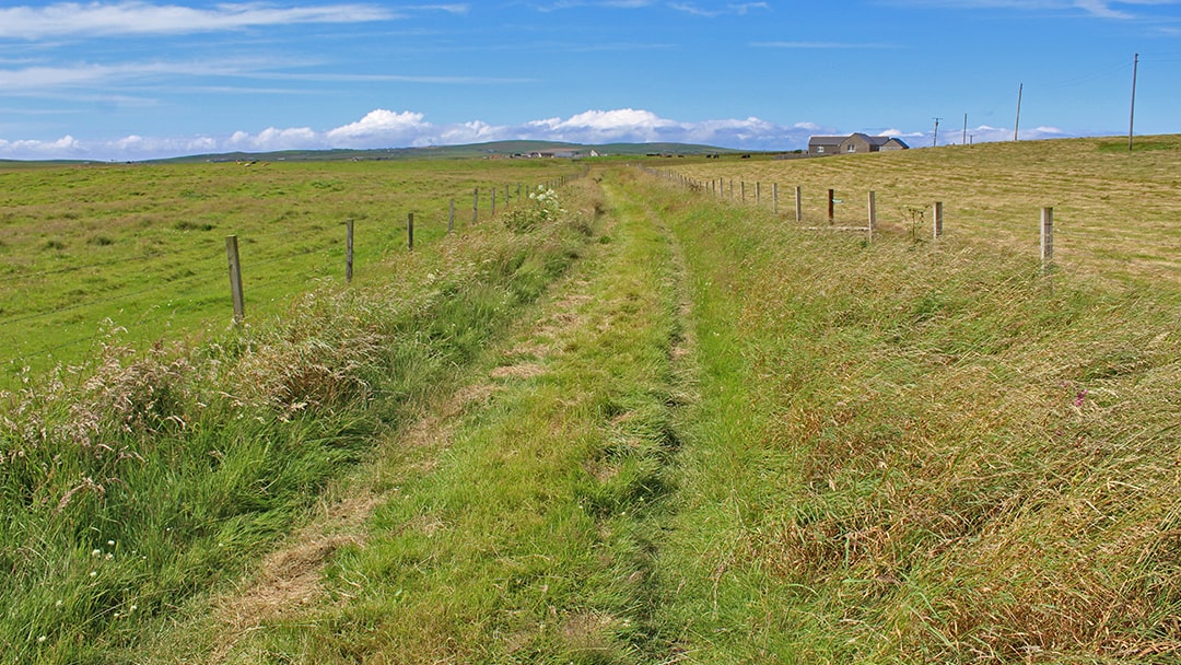 The grassy Swartland Drover's Road in Orkney