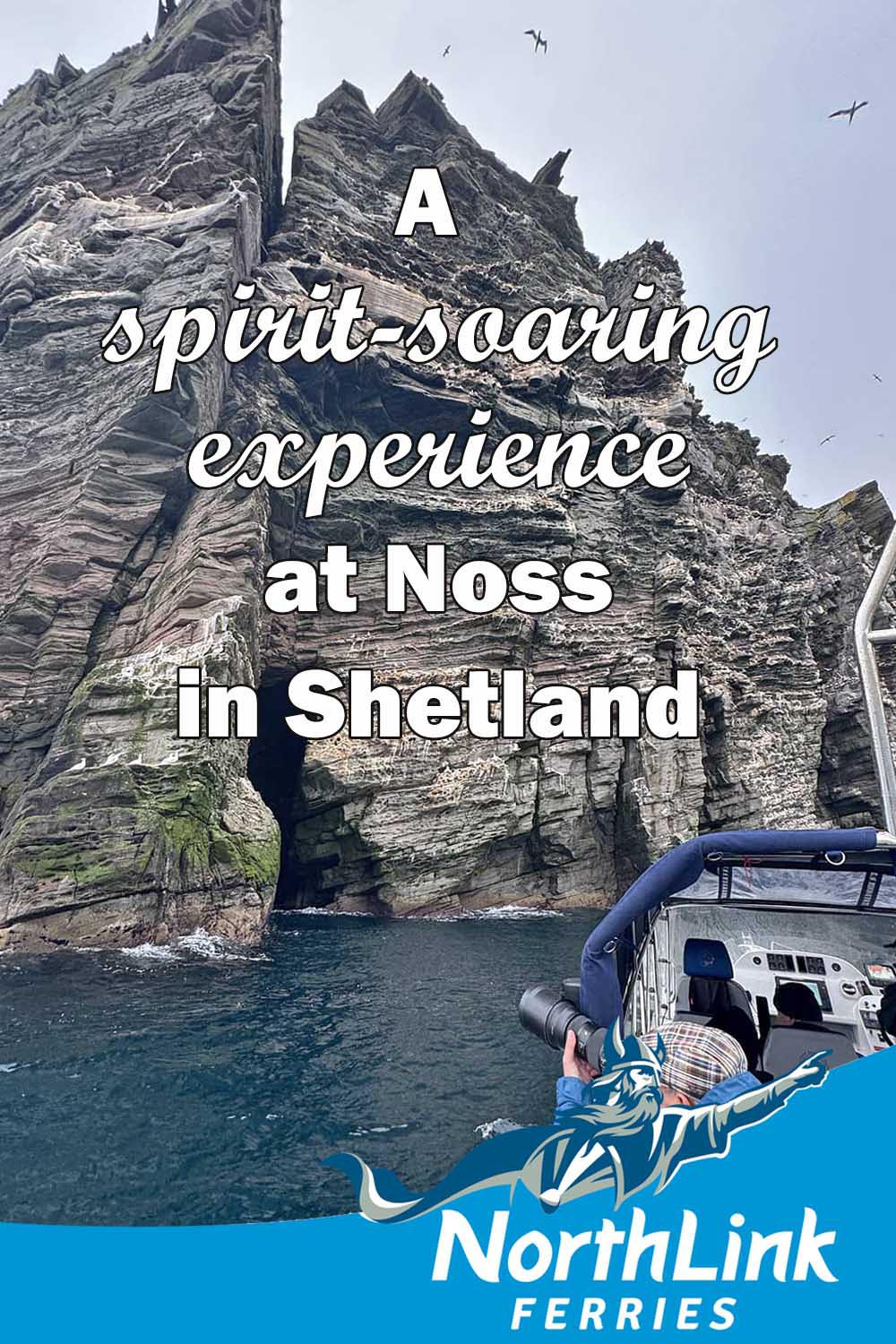 A spirit-soaring experience at Noss in Shetland