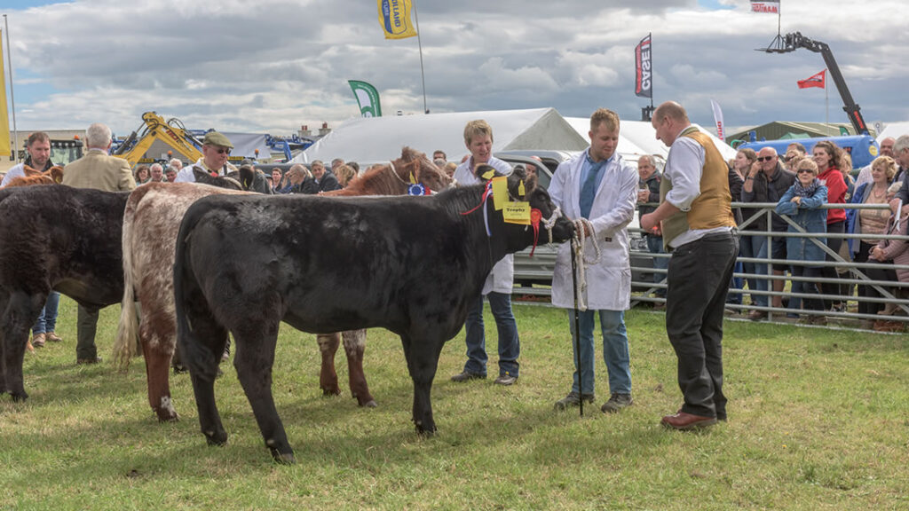 Dounby Show 2018