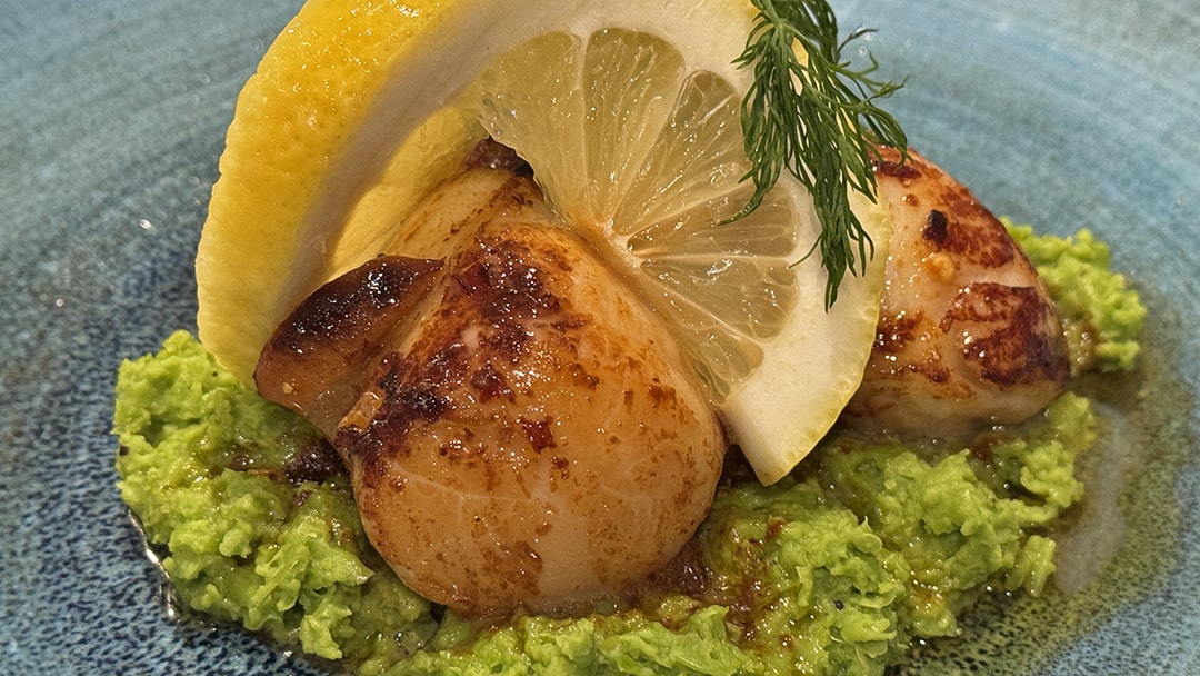 Orkney Scallops