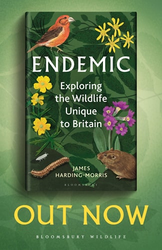 The Endemic book is available now