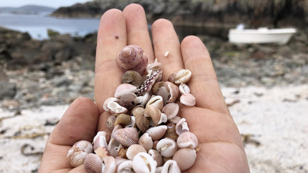 Gathering treasures from the beach