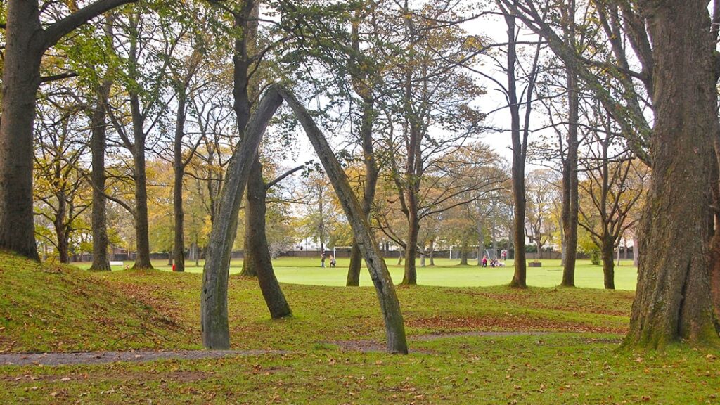 Whale bones at Stewart Park