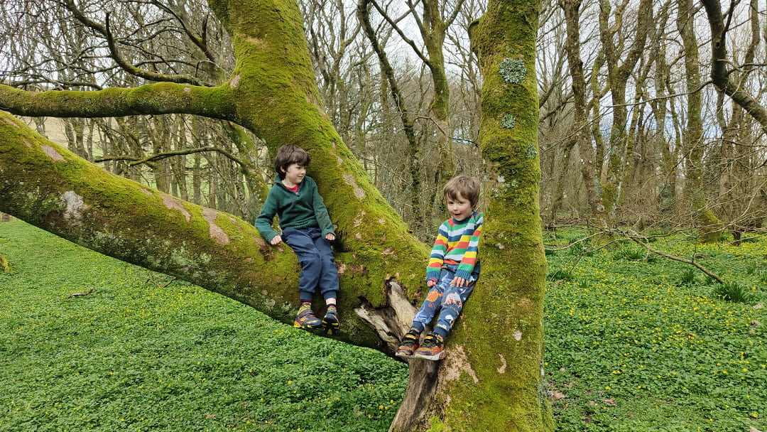 The kids playing in Kergord Woods