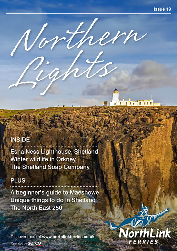 Northern Lights Issue 19