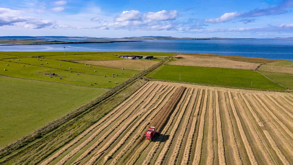Farming in the Orkney Islands