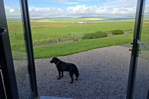 View from the Orkney Pod