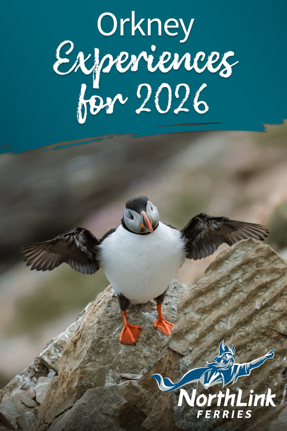 Orkney Experiences for 2026