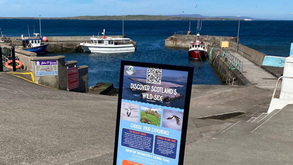 Stroma Wildlife Cruises