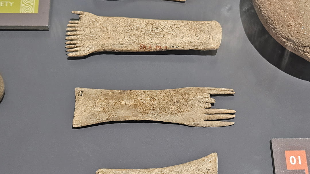 Long-handled combs, used for weaving, found inside the Broch of Borwick