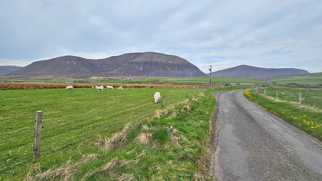 The road to Ward Hill on Hoy