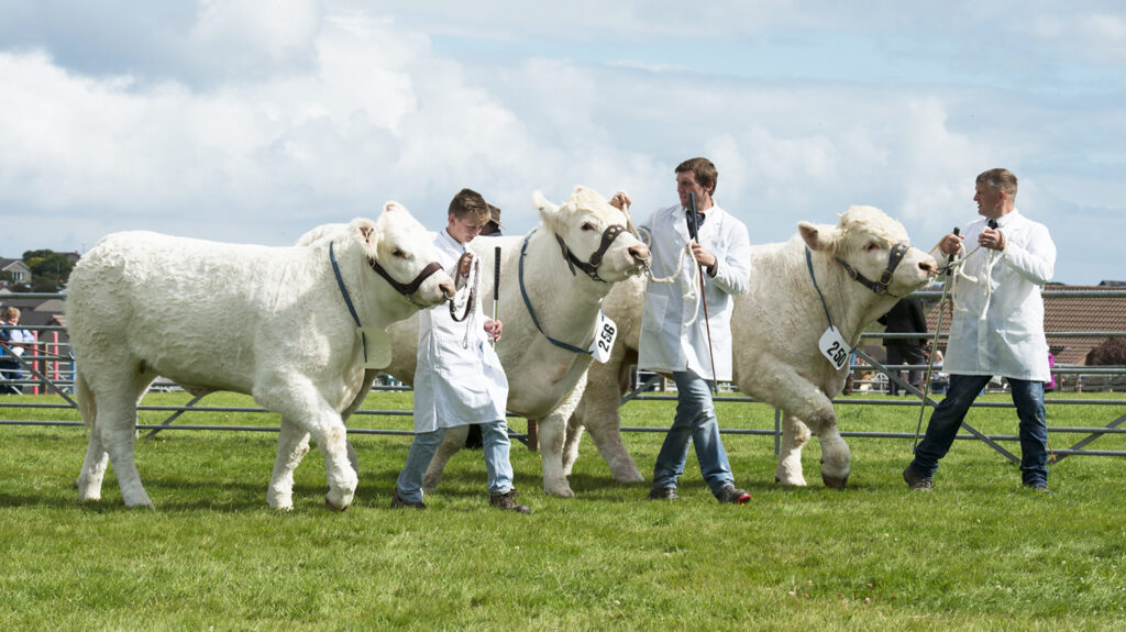 County Show in Orkney, 2018