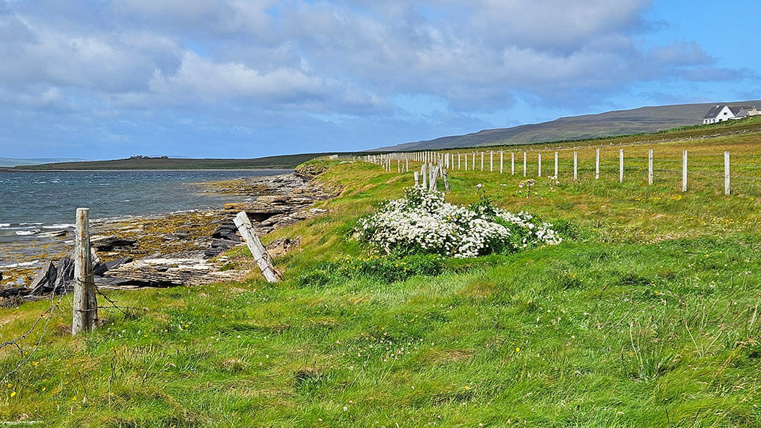 The rough coastal path around Wyre