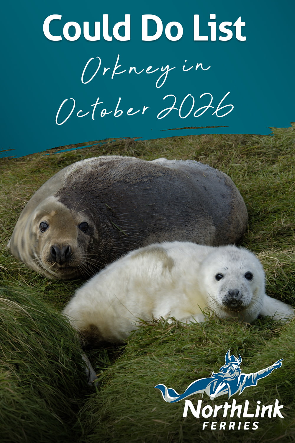 Could Do List - Orkney in October 2026