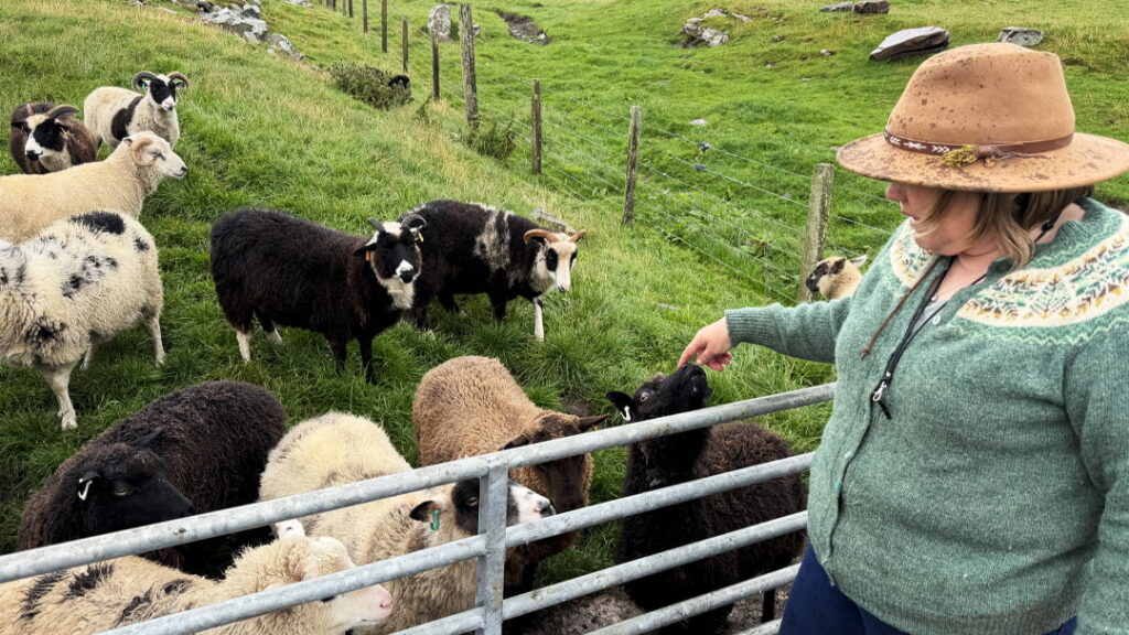 Islander Heather Davidson has farmland across Shetland with 450 sheep