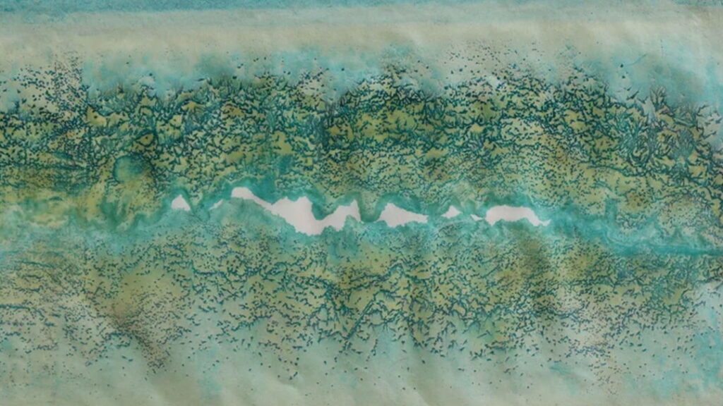 Water and Ground - New work by Teresa Borek